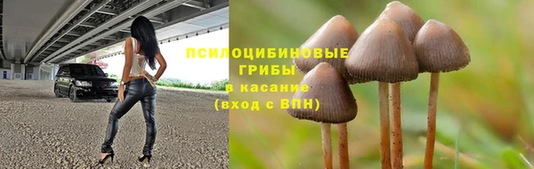 мескалин Алексеевка