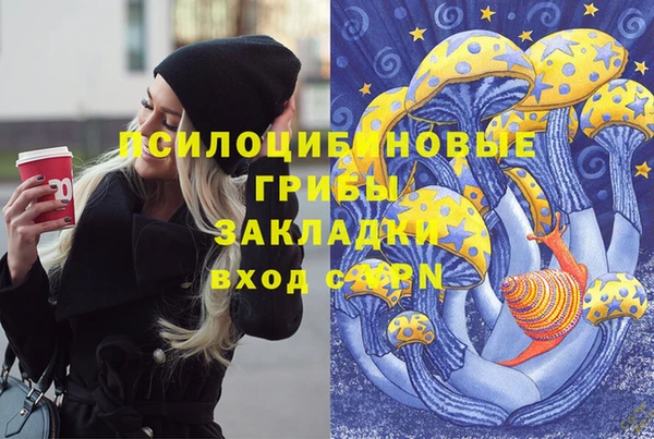 Альфа ПВП Алзамай