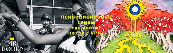 Альфа ПВП Алзамай